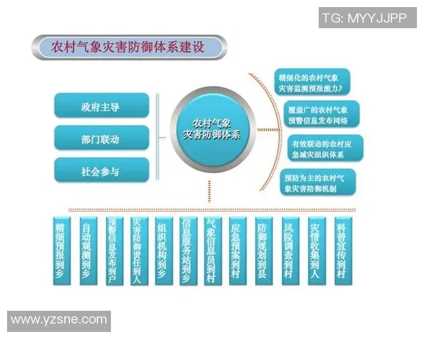 成都羽毛球队防守体系解析与战术运用研究